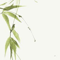 Bamboo V Green Framed Print