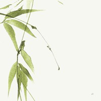 Bamboo V Green Fine Art Print