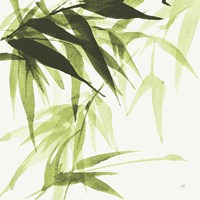 Bamboo IV Green Fine Art Print