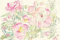 Peony Garden Fine Art Print