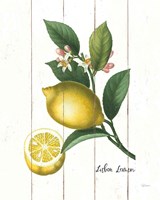 Cottage Lemon I Fine Art Print