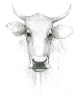 Cow Sketch Fine Art Print