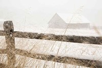 Snowy Day Fine Art Print