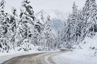 Mount Baker Highway I Fine Art Print