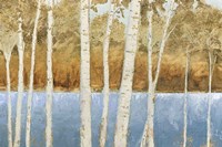 Lakeside Birches Fine Art Print