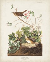 Pl 193 Lincoln Finch Fine Art Print