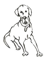 The Dog I Fine Art Print