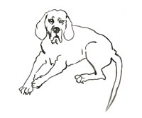 The Dog III Fine Art Print