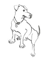 The Dog IV Fine Art Print