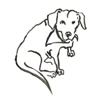 The Dog VII Fine Art Print