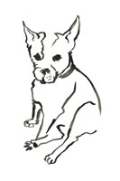 The Dog VIII Fine Art Print