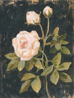 Moody Blooms II Fine Art Print