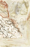 Coral & Alabaster II Fine Art Print