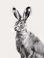 Wild Hare I Fine Art Print
