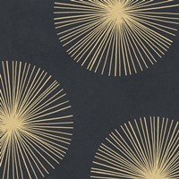 Bursts II Fine Art Print