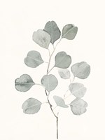 Delicate Sage Botanical I Fine Art Print