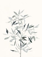 Delicate Sage Botanical VI Fine Art Print