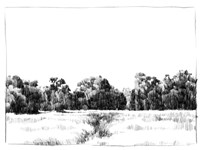 Northern Neck Landscape I Fine Art Print