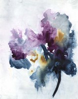 Bouquet II Fine Art Print