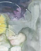 Softest Light II Fine Art Print