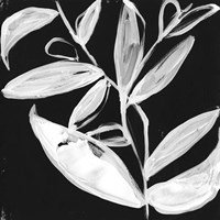 Quirky White Leaves I Fine Art Print