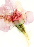 Flower Passion II Fine Art Print