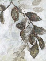 Dream Branches II Fine Art Print