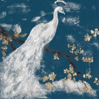 White Peacock on Indigo I Fine Art Print