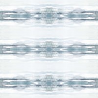 Repeated Reflection II Fine Art Print