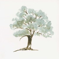Mint Tree I Fine Art Print