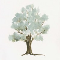 Mint Tree II Fine Art Print