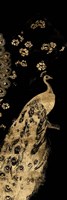 Gilded Peacock Triptych III Fine Art Print