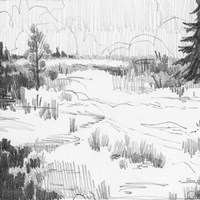 Wildland Sketch I Fine Art Print