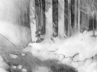 Graphite Glade I Fine Art Print