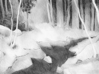 Graphite Glade II Fine Art Print