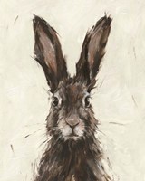 European Hare I Fine Art Print