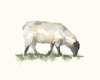 Grazing Farm Animal III Fine Art Print