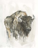American Buffalo I Fine Art Print