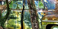 Car Graveyard VIII Fine Art Print