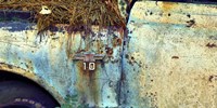 Car Graveyard IX Fine Art Print