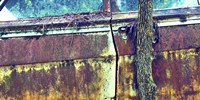 Car Graveyard XI Fine Art Print