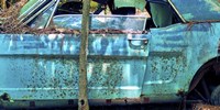 Car Graveyard XII Fine Art Print