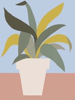 Ordinary Houseplant I Fine Art Print