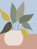 Ordinary Houseplant III Fine Art Print