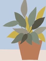 Ordinary Houseplant IV Fine Art Print