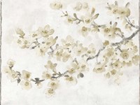 Neutral Cherry Blossom Composition I Fine Art Print