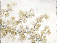 Neutral Cherry Blossom Composition II Fine Art Print