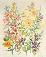 Freshly Cut I Framed Print