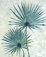 Palm Leaves II Framed Print