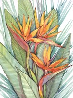 Tropical Botanical Paradise II Fine Art Print